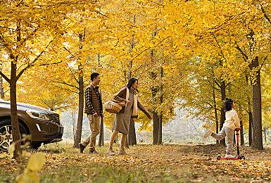 《卧龙：苍天陨落》Xbox开始预载：约45GB 首发加入XGP